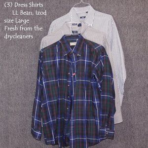 Three (3) Izod, LL Bean Shirts Size L - Drycleaned